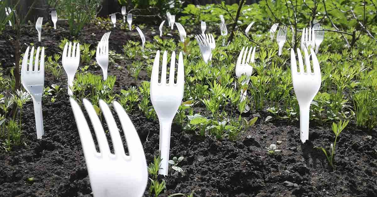 forks in a garden