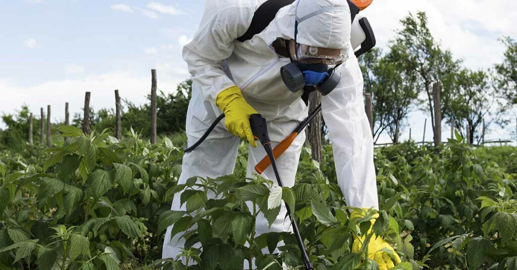The Best Ways to Remove Pesticides from Your Fruit and Vegetables - Featured image