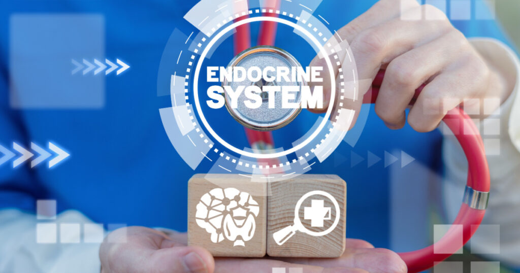 Endocrine System Human Medicine concept. Hormonal balance health. Endocrinologist holds wooden cubes and touches endocrine system virtual words.
