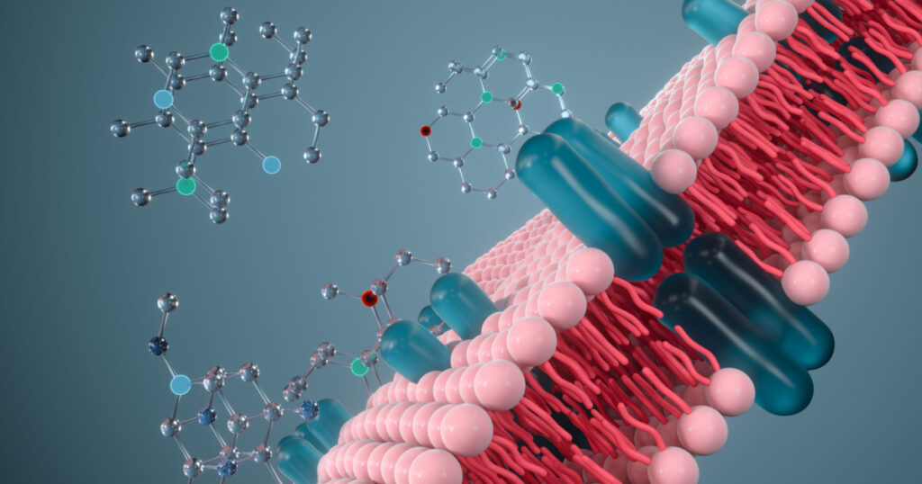 Cell Membrane