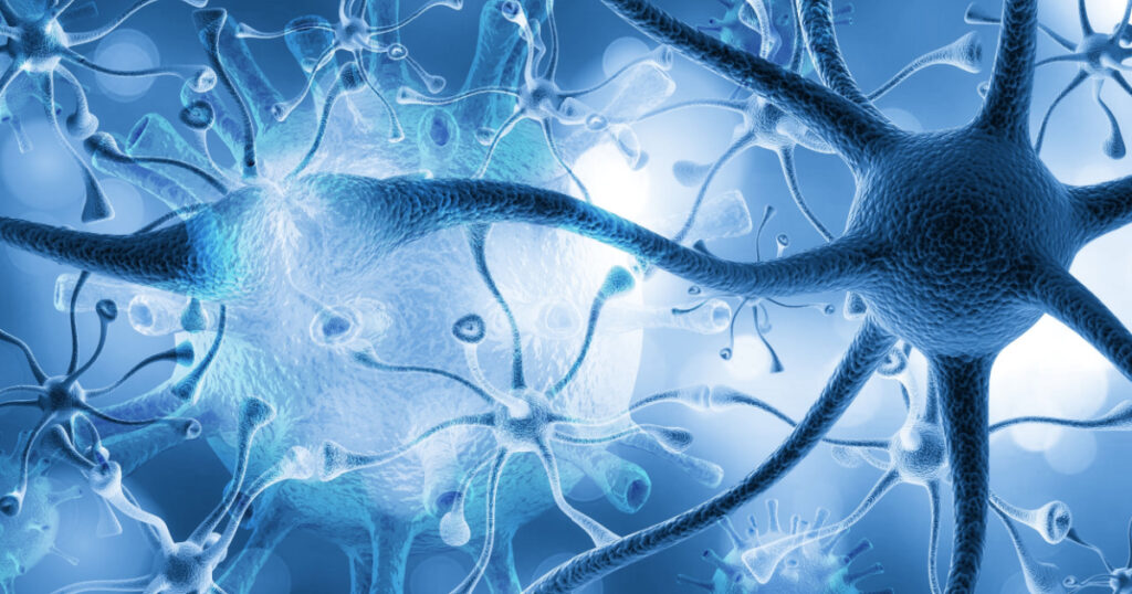 Brain human nervous system illustration
