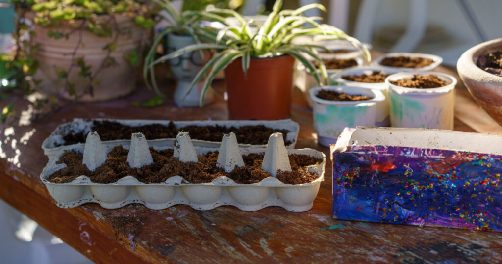 Creative Ways to Use Old Egg Cartons, Yogurt Tubs And Milk Cartons-Grow Seedlings. Earth Day Crafts.
