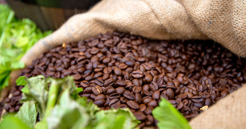 Organic coffee beans in the bag at evening market in Sydney
