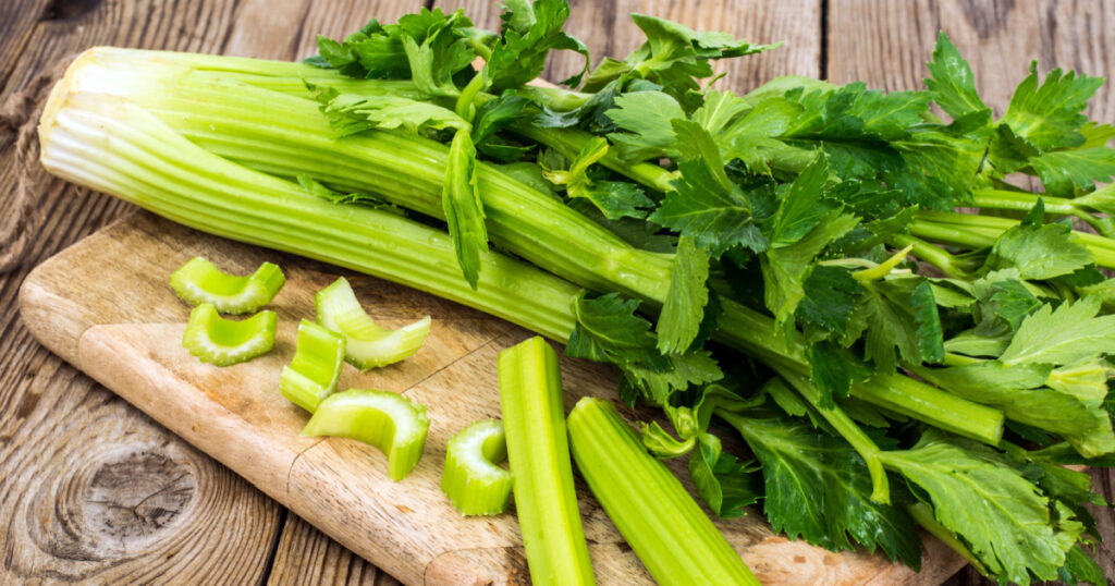 Bunch of fresh celery stalk with leaves. 