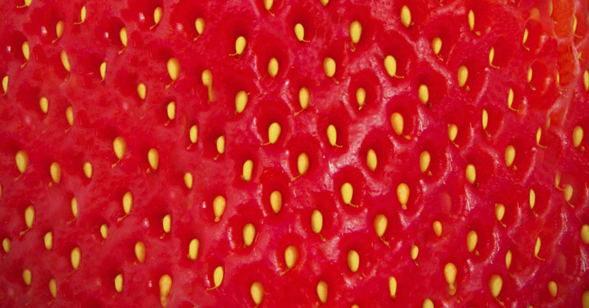 close up of skin of strawberry