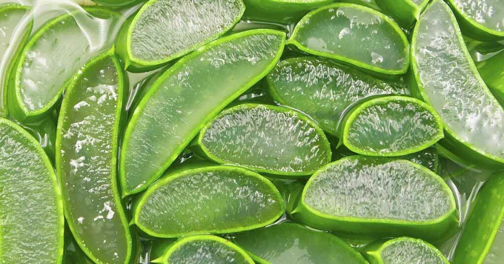 8 Benefits of Aloe Vera Everyone Needs to Know - Featured image
