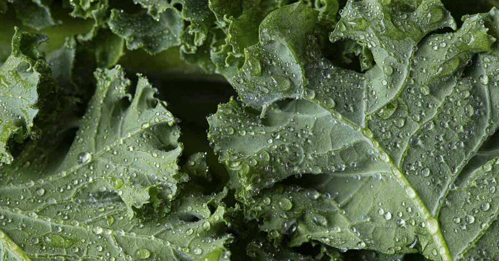 Eat More of These 8 Foods, Nutritionist Explains - Featured image
