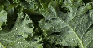Eat More of These 8 Foods, Nutritionist Explains close up of kale.