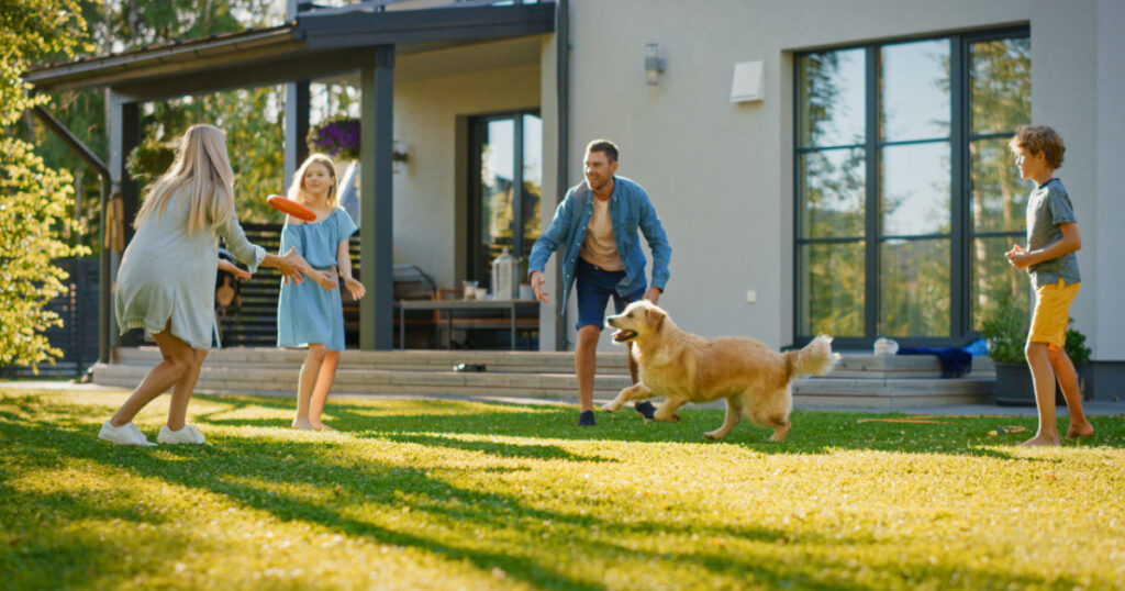 Smiling Beautiful Family of Four Play Fetch flying disc with Happy Golden Retriever Dog on the Backyard Lawn. Idyllic Family Has Fun with Loyal Pedigree Dog Outdoors in Summer House Backyard
