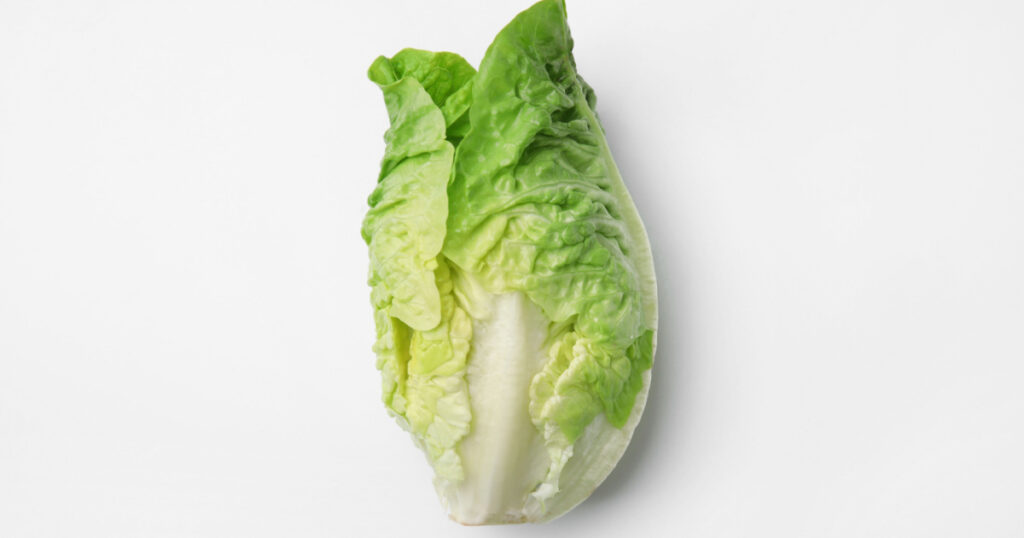 Fresh green romaine lettuce isolated on white, top view
