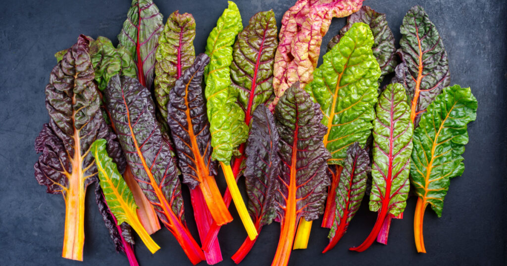 Raw colourful chard offered as a close-up on a rustic black board
