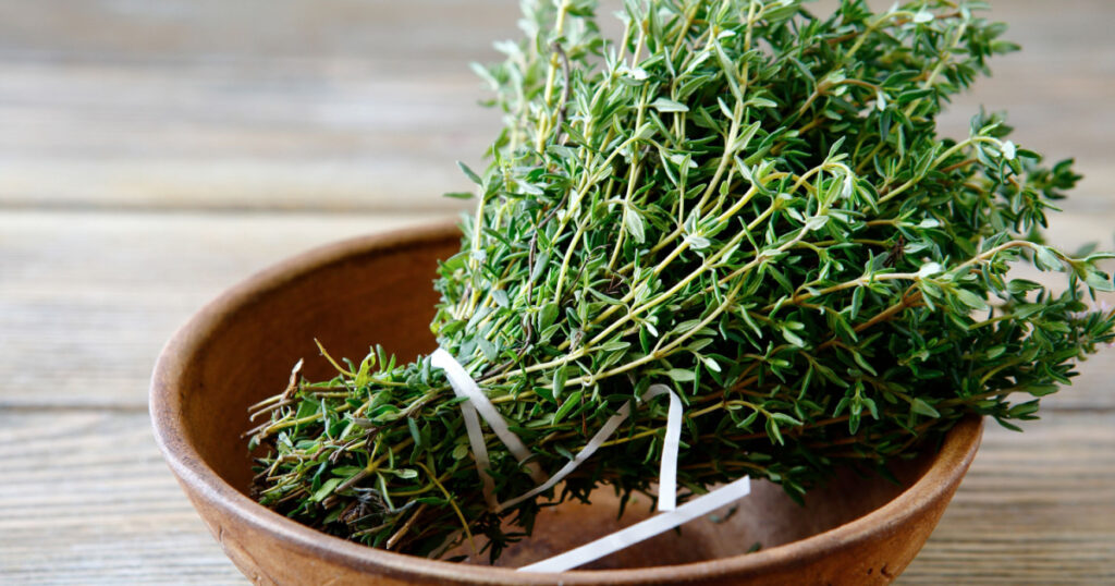 Green thyme in a bowl on boards, close up
