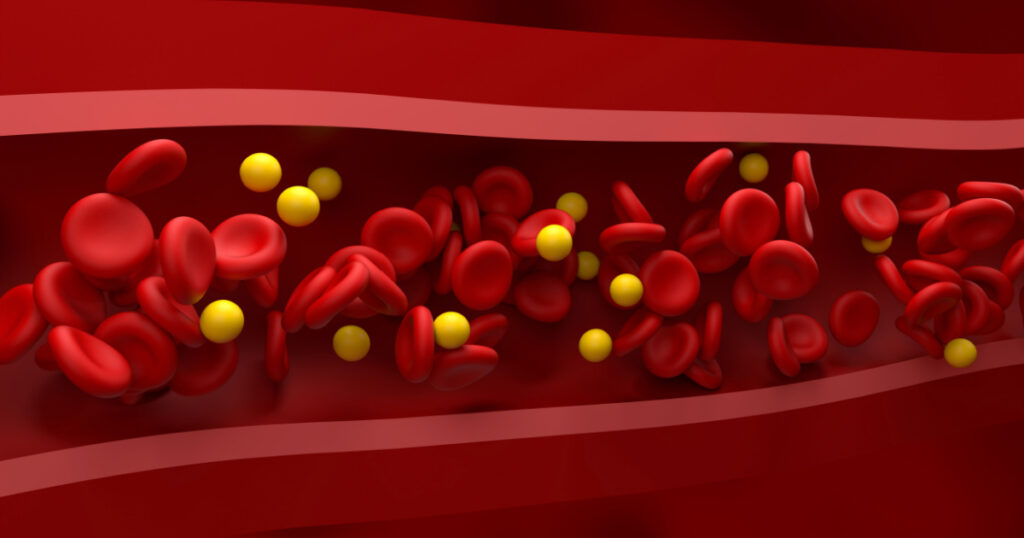 Normal level of LDL (lipoprotein) - cholesterol and rbc flow in the healthy vessel – Closeup view 3d illustration
