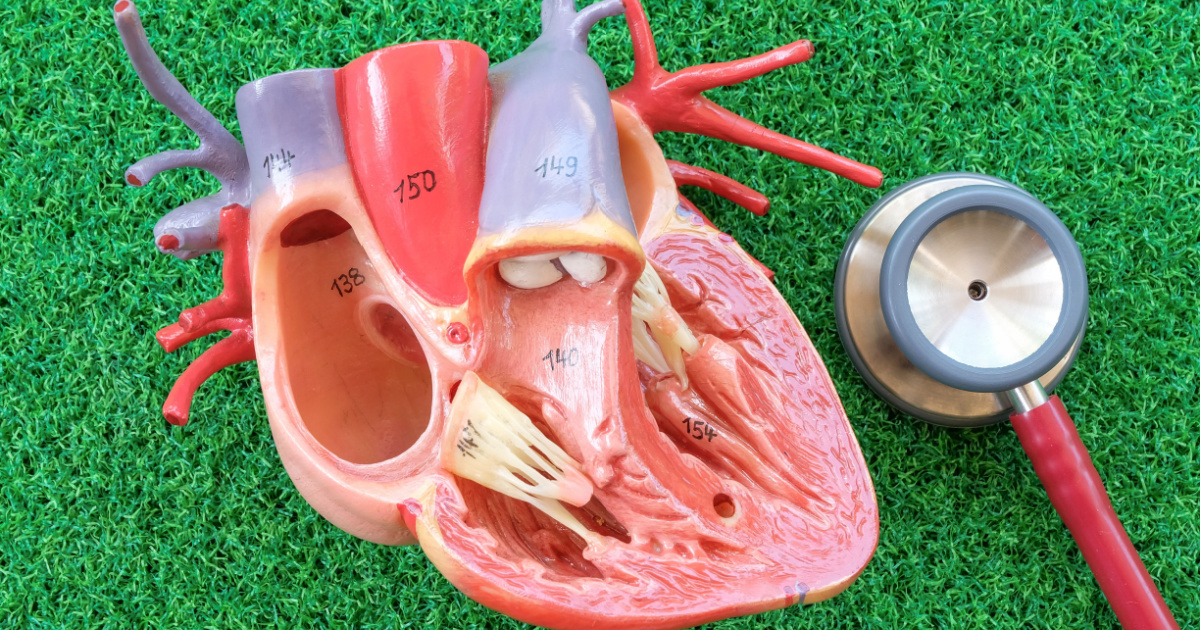8 Surprising Signs of Heart Valve Disease (HVD) : The Hearty Soul