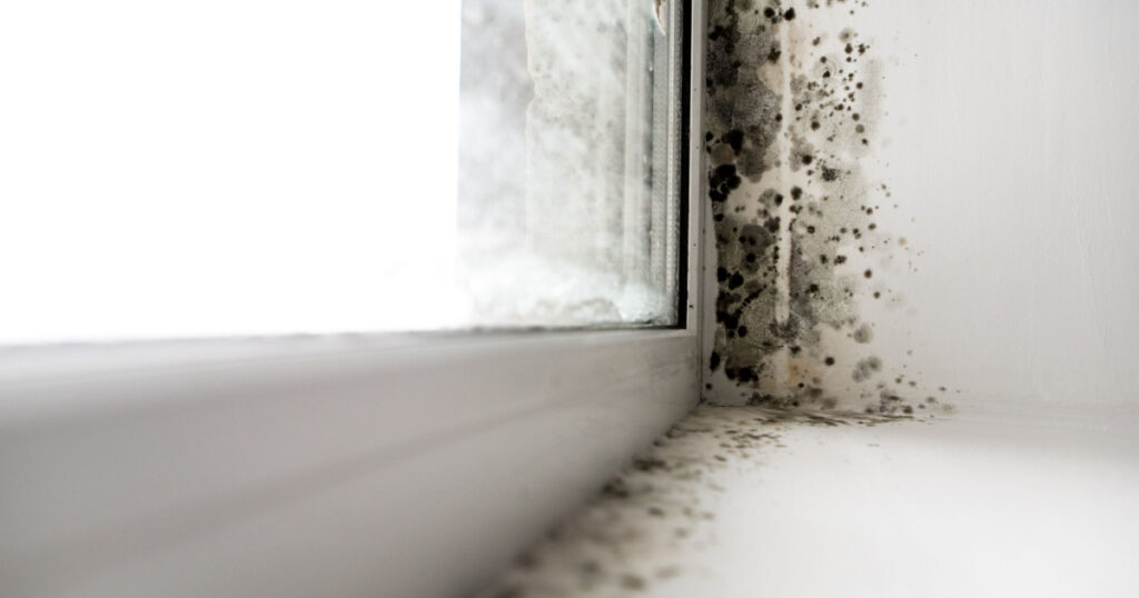 mold in the corner of the window
