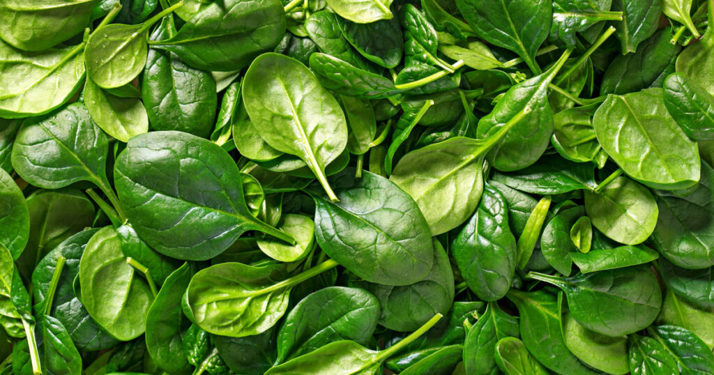 Spinach background full image. Top view
