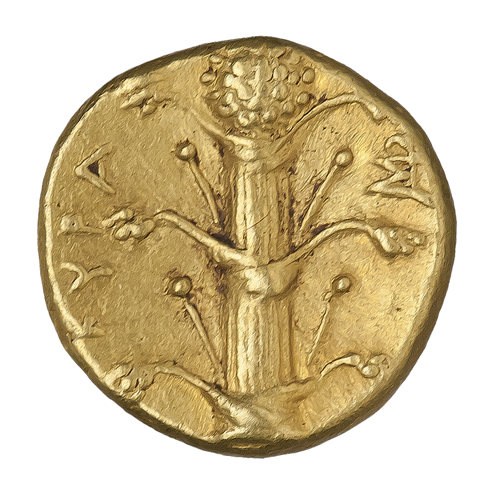 A coin featuring a silphium plant