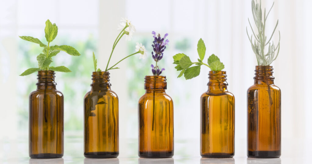 Brown Bottles of essential oil with fresh herbs
