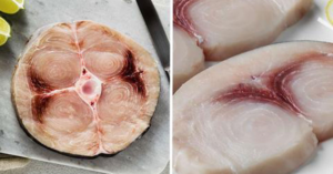 swordfish fillet
