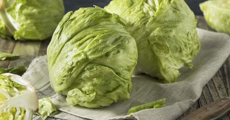 What’s That Red Stuff on Lettuce? Is it Safe to Eat? - Featured image