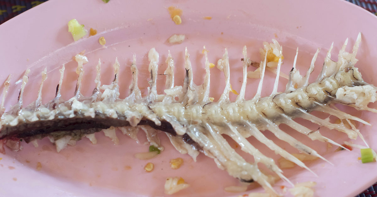 fishbone on pink plate
