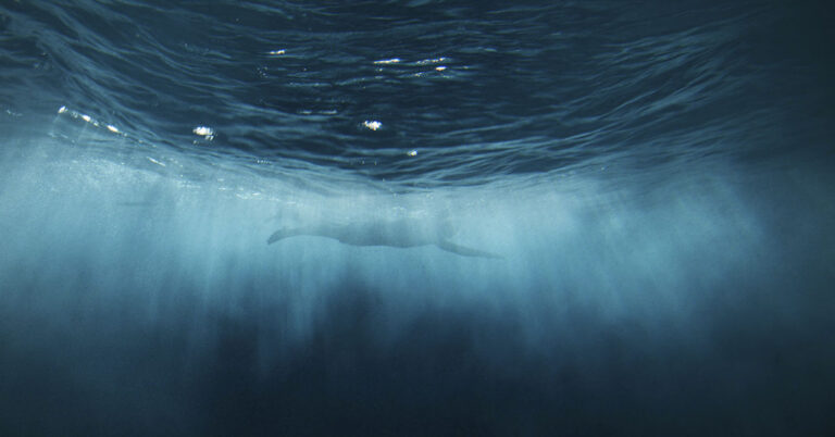 Father Left Paralyzed After Freak Cold Water Swim Accident - Featured image