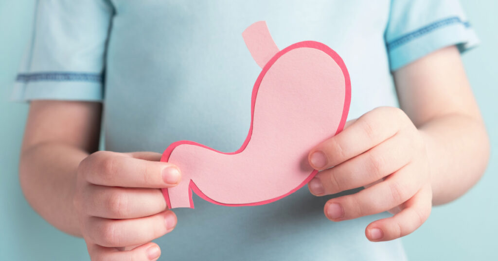 Child holding stomach decorative model. Healthy digestion children concept, treatment and pain relief. Closeup