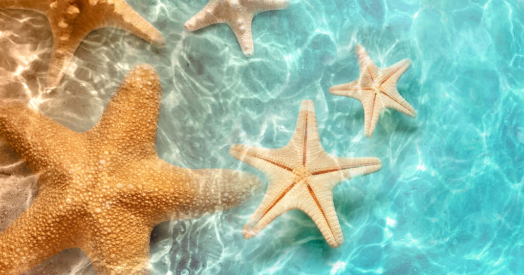 Starfish on the summer beach in sea water. Summer background. Summer time.