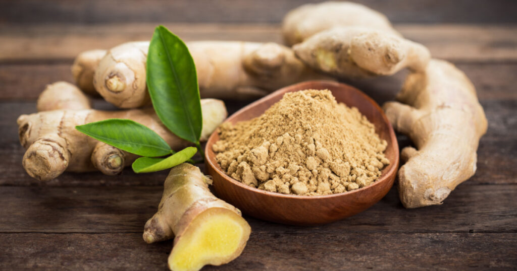 Ginger root and ginger powder in the bowl
