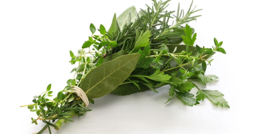fresh bouquet garni, bunch of herbs isolated on white background