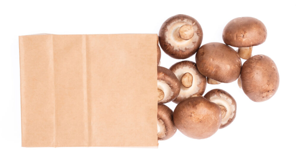 brown Champignon Mushroom in brown paper bag isolated on white background