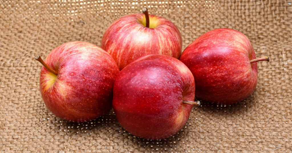 Gala apples isolated on brown fabric