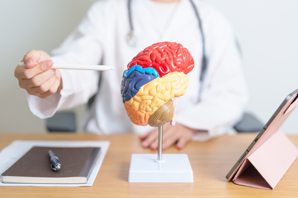 doctor with human Brain anatomy model and tablet. World Brain Tumor day, Brain Stroke, Dementia, alzheimer, parkinson and world mental health concept