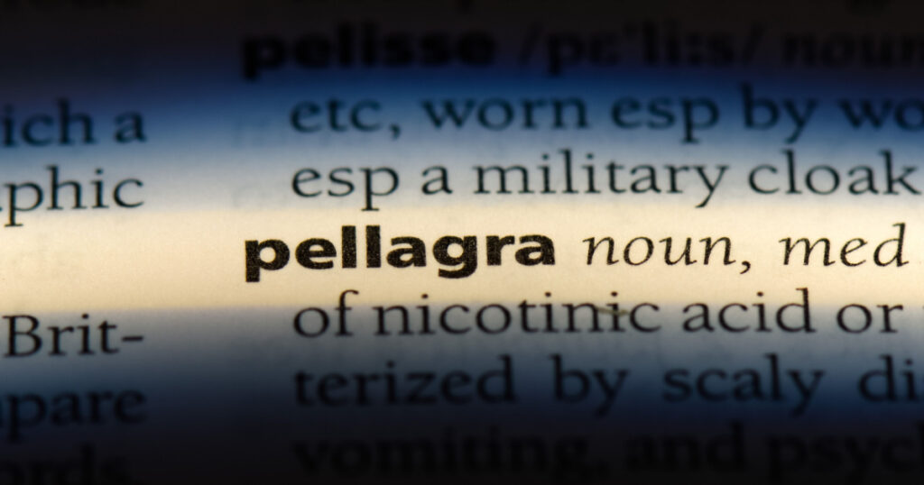 pellagra word in a dictionary. pellagra concept.