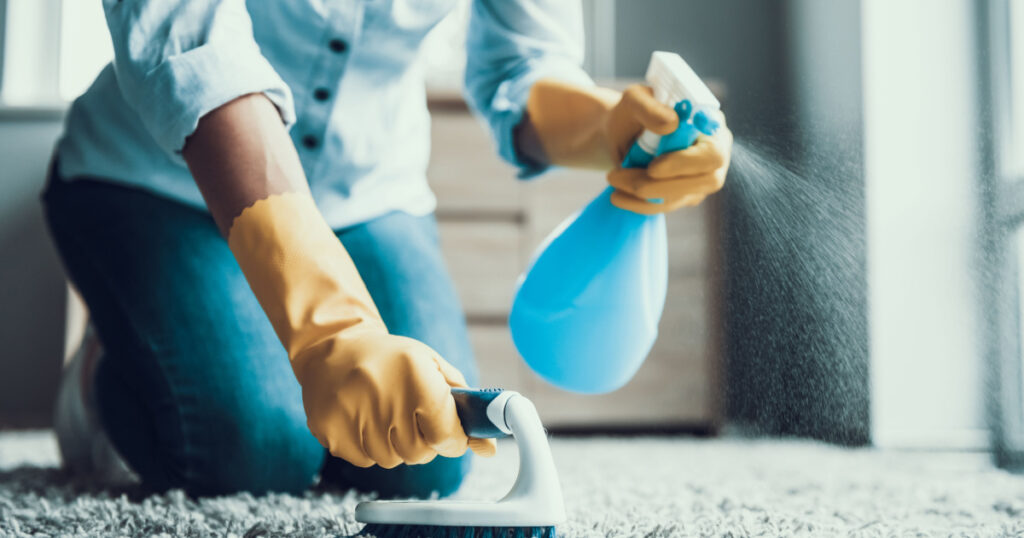 Young Beautiful Woman Cleaning Carpet with Brush. Closeup of Girl wearing Protective Gloves Cleaning Carpet by spraying Cleaning Products and using Brush. Woman Cleaning Apartment