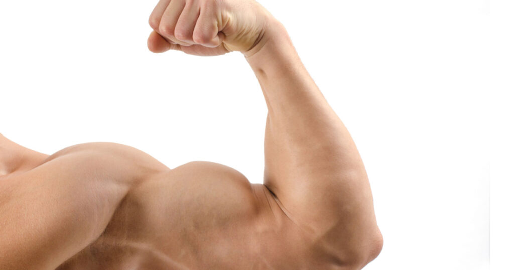 Close up on a bodybuilder biceps,shoulder,arm isolated on white background