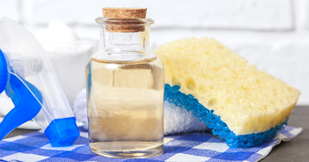 7 Natural Bleach Alternatives For Home Cleaning [And More] The Hearty