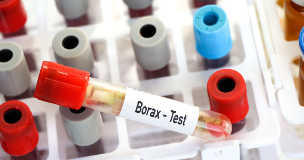 Borax test, food sample to analyze in the laboratory, Food in test tube