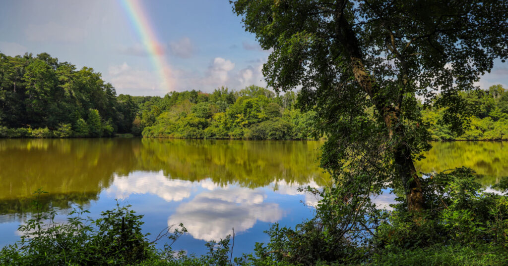 a stunning shot of the silky brown lake water at Candler Lake with green trees and plants reflecting off the water with blue sky, clouds and a rainbow at Lullwater Preserve in Decatur Georgia