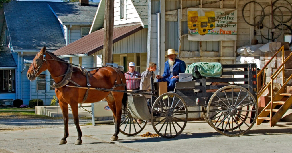 Amish couple in horse and buggy in Shipshewana Indiana. created 10.15.22