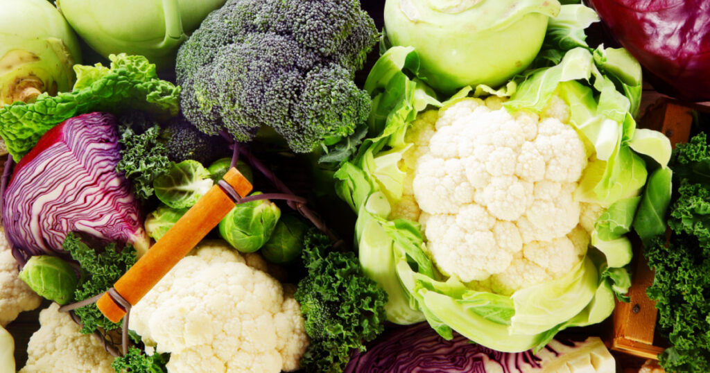 Background of healthy fresh cruciferous vegetables with brioccoli, cabbage, cauliflower, brussels sprouts kale and kohlrabi, close up full frame