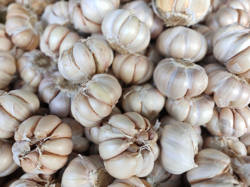 Known as Garlic, it is the name of a plant from the genus Allium which is useful for controlling cholesterol and immunity.