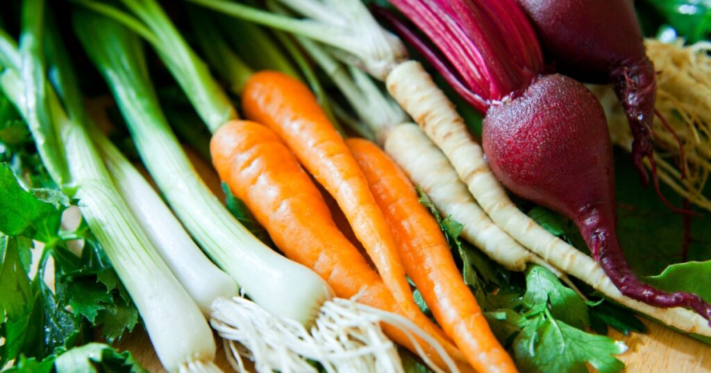 Healthy fresh vegetables from organic farm - ingredients of a veggie box: beetroot, pickling cucumber, carrots, parsnips, parsley root, celeriac, leek and onions with chive, with fresh dill herb.