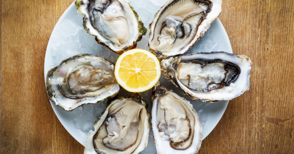 Fresh oysters in a white plate with ice and lemon on a wooden desk