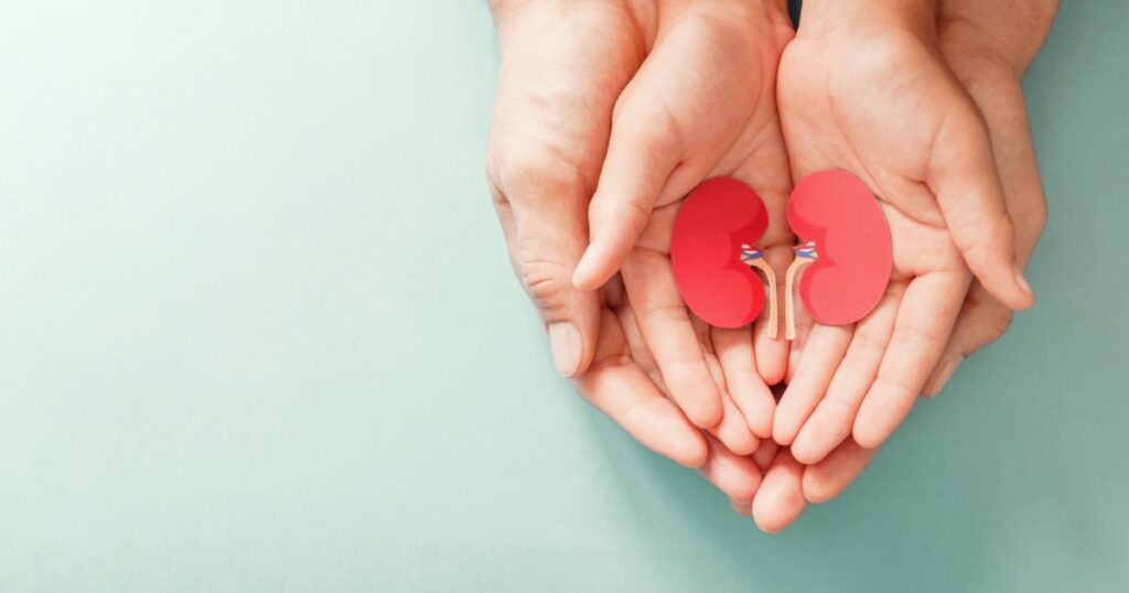 Hands holding kidney shaped paper, world kidney day, National Organ Donor Day, charity donation concept