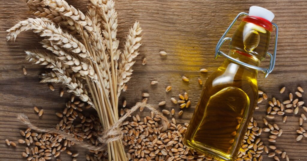 Wheat grain and wheat germ oil
