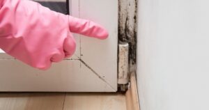 Hand in rubber protective glove pointing to the mold in the window corner.