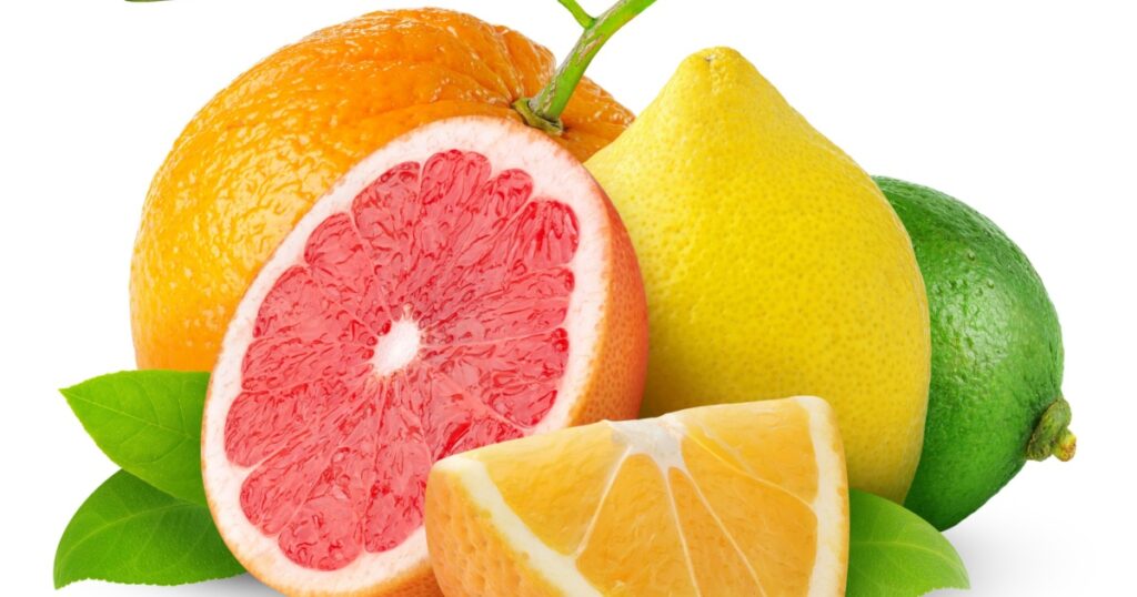 Isolated citrus fruits. Orange, grapefruit, lemon and lime isolated on white background