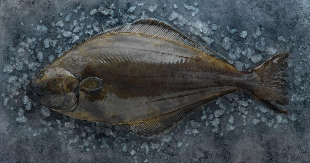 Atlantic Flatfish (halibut, flounder, and sole)