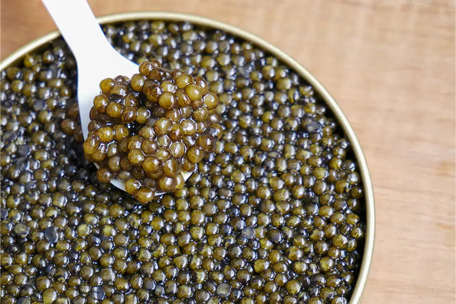 Fish Caviar